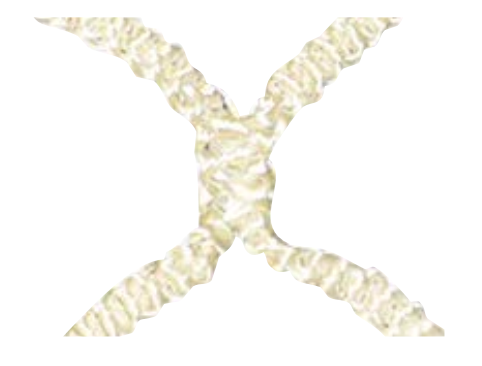 (#LGN‐44) Lacrosse ‐ Replacement Box Net (4mm ‐ 1‐1/2 in. Sq. Mesh with Lacing Cord) (4 ft.W x 4 ft.H x 4 ft.D) (White)