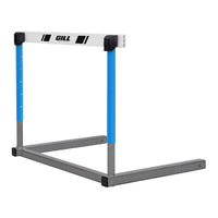 C3 Continuum Hurdle