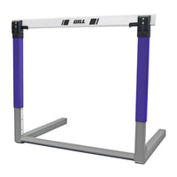 C4 Continuum Automatic Hurdle